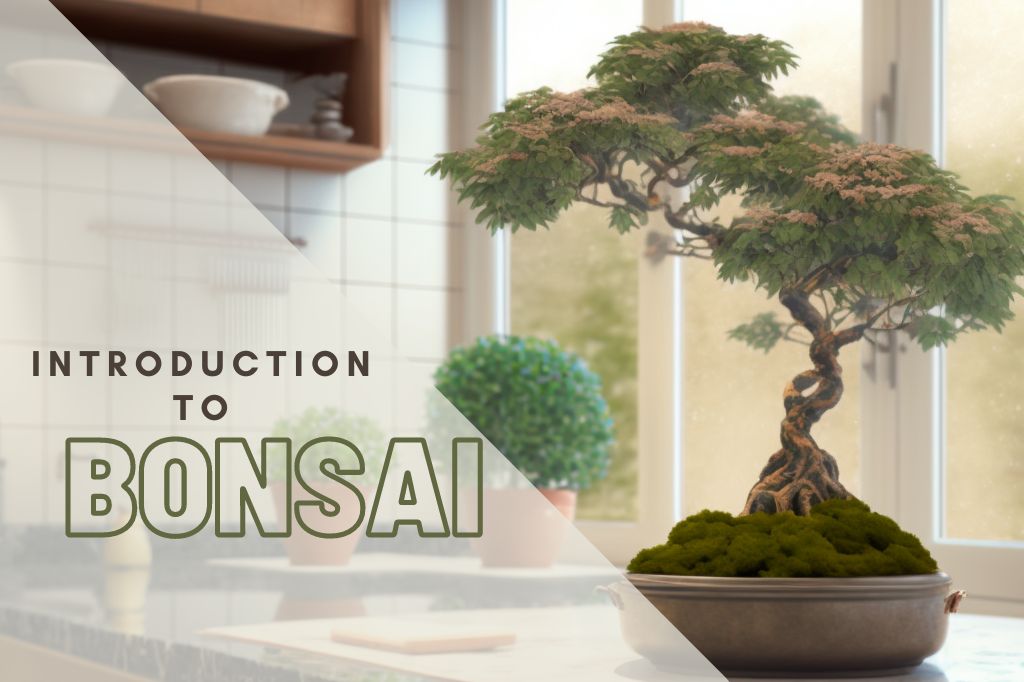The Importance of Wire Training Your Bonsai Tree - Grow Your Bonsai